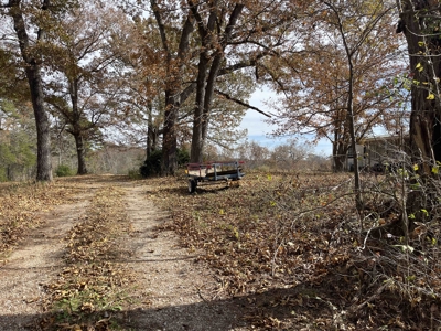 Land To Build On In Hardin County Tn, 9 +/- Ac, Creek, Old Home - image 46