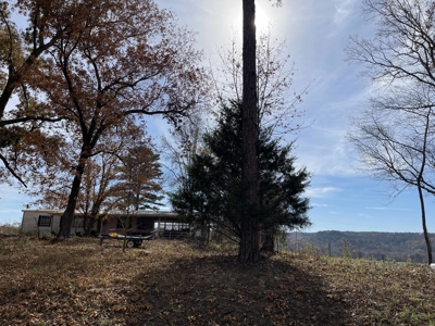 Land To Build On In Hardin County Tn, 9 +/- Ac, Creek, Old Home - image 10