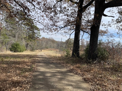 Land To Build On In Hardin County Tn, 9 +/- Ac, Creek, Old Home - image 25