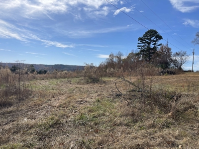 Land To Build On In Hardin County Tn, 9 +/- Ac, Creek, Old Home - image 4