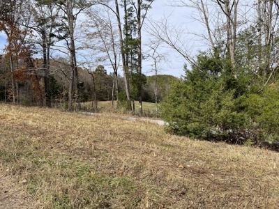 Land To Build On In Hardin County Tn, 9 +/- Ac, Creek, Old Home - image 29