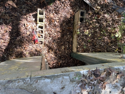 Land To Build On In Hardin County Tn, 9 +/- Ac, Creek, Old Home - image 18