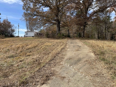 Land To Build On In Hardin County Tn, 9 +/- Ac, Creek, Old Home - image 17