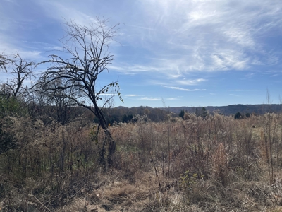 Land To Build On In Hardin County Tn, 9 +/- Ac, Creek, Old Home - image 32