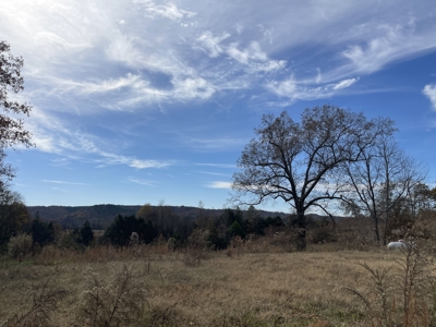 Land To Build On In Hardin County Tn, 9 +/- Ac, Creek, Old Home - image 36