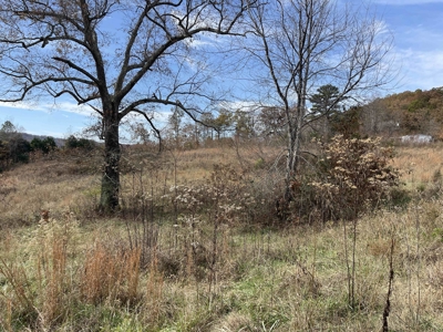 Land To Build On In Hardin County Tn, 9 +/- Ac, Creek, Old Home - image 37