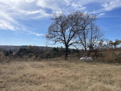 Land To Build On In Hardin County Tn, 9 +/- Ac, Creek, Old Home - image 5
