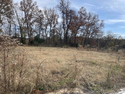 Land To Build On In Hardin County Tn, 9 +/- Ac, Creek, Old Home - image 35