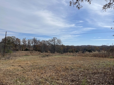 Land To Build On In Hardin County Tn, 9 +/- Ac, Creek, Old Home - image 27