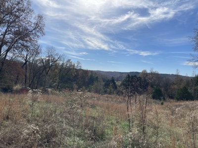 Land To Build On In Hardin County Tn, 9 +/- Ac, Creek, Old Home - image 2
