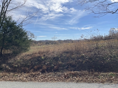 Land To Build On In Hardin County Tn, 9 +/- Ac, Creek, Old Home - image 48