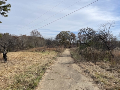 Land To Build On In Hardin County Tn, 9 +/- Ac, Creek, Old Home - image 31