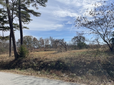 Land To Build On In Hardin County Tn, 9 +/- Ac, Creek, Old Home - image 49