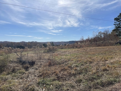 Land To Build On In Hardin County Tn, 9 +/- Ac, Creek, Old Home - image 28