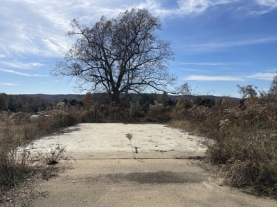 Land To Build On In Hardin County Tn, 9 +/- Ac, Creek, Old Home - image 9