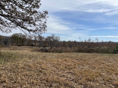 Land To Build On In Hardin County Tn, 9 +/- Ac, Creek, Old Home - image 42