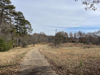 Land To Build On In Hardin County Tn, 9 +/- Ac, Creek, Old Home - image 19