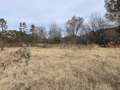 Land To Build On In Hardin County Tn, 9 +/- Ac, Creek, Old Home - image 38