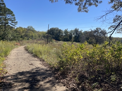 Land To Build On In Hardin County Tn, 9 +/- Ac, Creek, Old Home - image 22