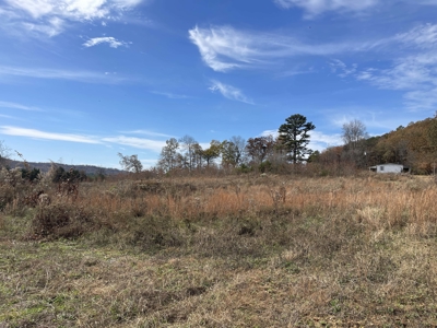 Land To Build On In Hardin County Tn, 9 +/- Ac, Creek, Old Home - image 40