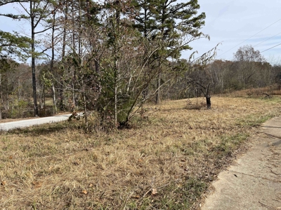 Land To Build On In Hardin County Tn, 9 +/- Ac, Creek, Old Home - image 30