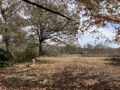 Land To Build On In Hardin County Tn, 9 +/- Ac, Creek, Old Home - image 45