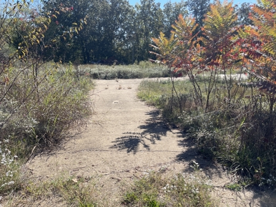 Land To Build On In Hardin County Tn, 9 +/- Ac, Creek, Old Home - image 23