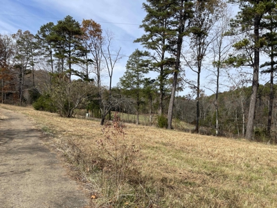 Land To Build On In Hardin County Tn, 9 +/- Ac, Creek, Old Home - image 41