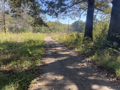 Land To Build On In Hardin County Tn, 9 +/- Ac, Creek, Old Home - image 21