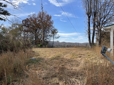 Land To Build On In Hardin County Tn, 9 +/- Ac, Creek, Old Home - image 44