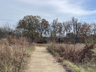 Land To Build On In Hardin County Tn, 9 +/- Ac, Creek, Old Home - image 33