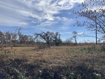 Land To Build On In Hardin County Tn, 9 +/- Ac, Creek, Old Home - image 50