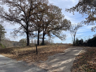 Land To Build On In Hardin County Tn, 9 +/- Ac, Creek, Old Home - image 26