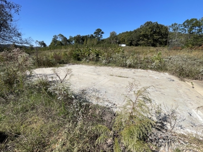 Land To Build On In Hardin County Tn, 9 +/- Ac, Creek, Old Home - image 8