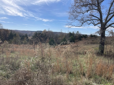 Land To Build On In Hardin County Tn, 9 +/- Ac, Creek, Old Home - image 6