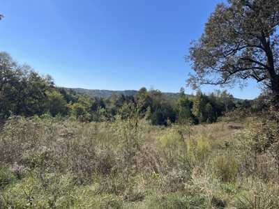 Land To Build On In Hardin County Tn, 9 +/- Ac, Creek, Old Home - image 1