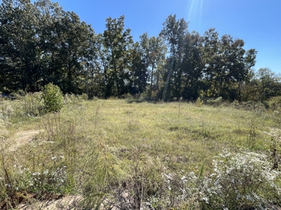 Land To Build On In Hardin County Tn, 9 +/- Ac, Creek, Old Home - image 24