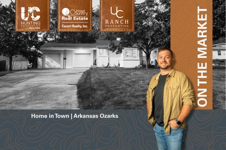 Ozarks Home in Town | Mountain Home, Arkansas - image 1