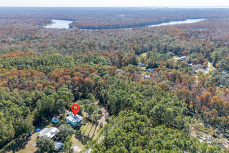 Country Coastal Home For Sale in Suwannee, FL - image 23