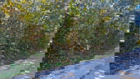 Vacant Lot for sale in the Missouri Ozarks | Near the Lake - image 3