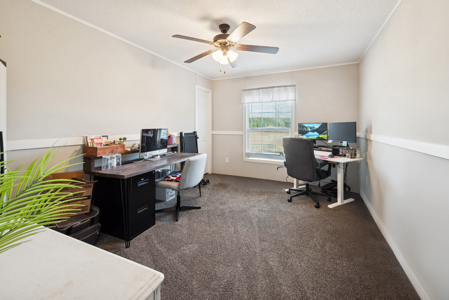 Modern Farmhouse on 5 Acres for Sale in Lake City, Florida - image 18