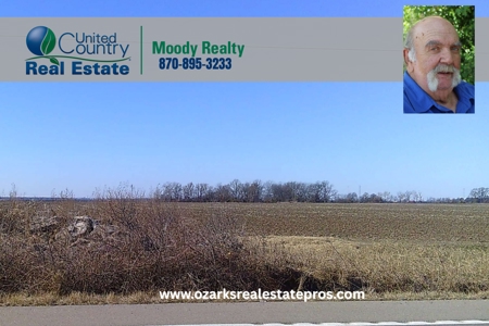 Investment-Grade Land On N Highway 61 Blytheville Ar - image 2