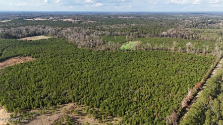 Country Home For Sale in Amite County, MS - image 35