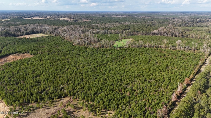 Country Home For Sale in Amite County, MS