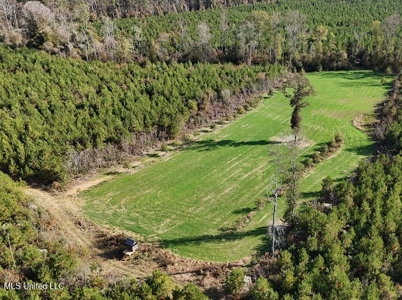 Country Home For Sale in Amite County, MS - image 31