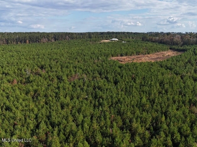 Country Home For Sale in Amite County, MS - image 30