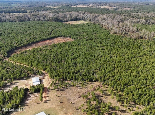 Country Home For Sale in Amite County, MS