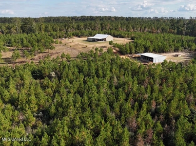 Country Home For Sale in Amite County, MS - image 27