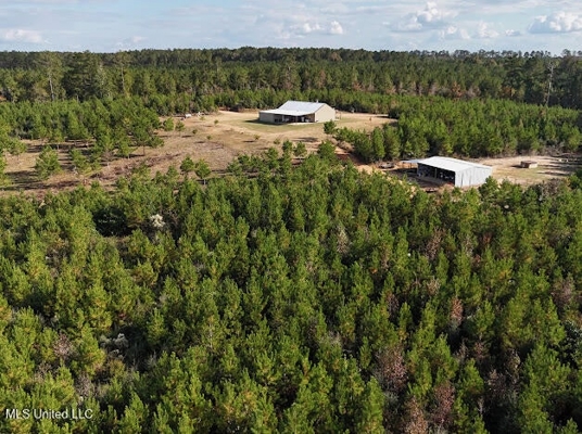 Country Home For Sale in Amite County, MS