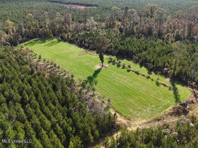 Country Home For Sale in Amite County, MS - image 32